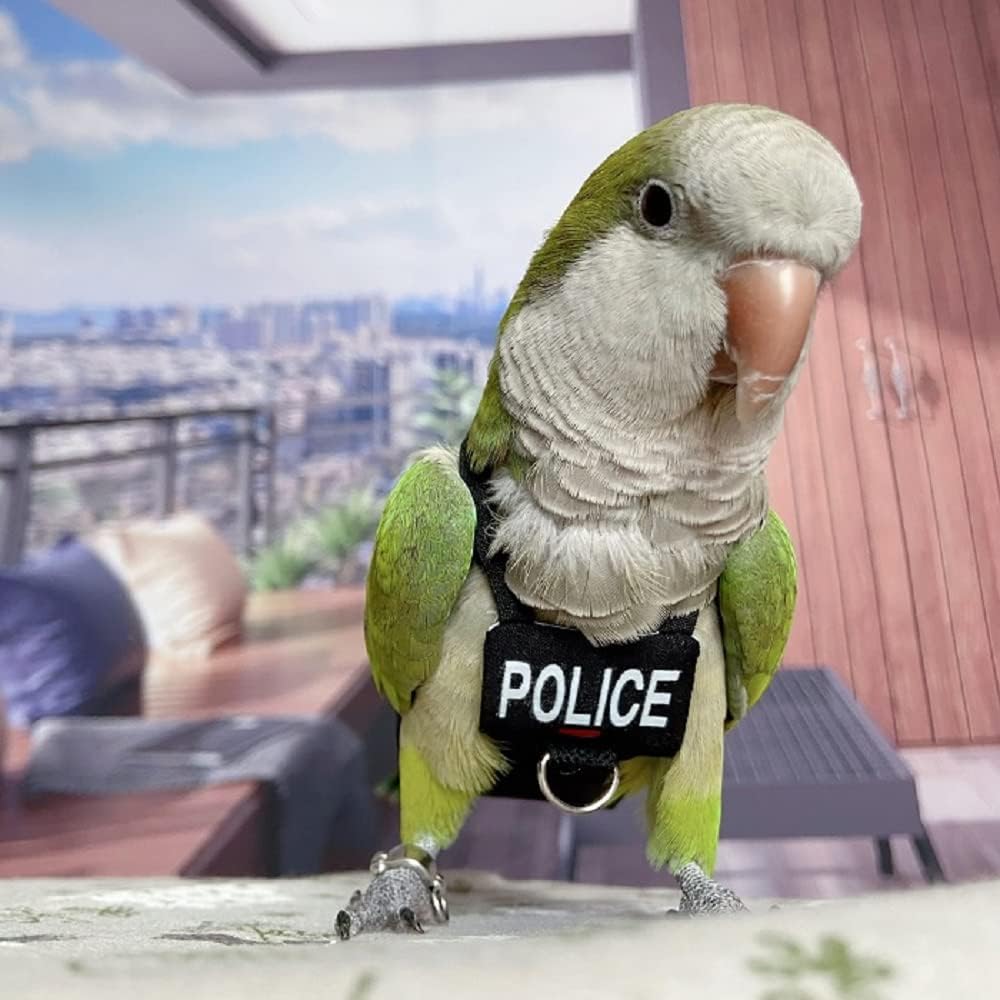 Bird Clothes Parrot Diapers Bird Flight Suits, Reble Waterproof Diapers pet Bird Supplies (2XL)