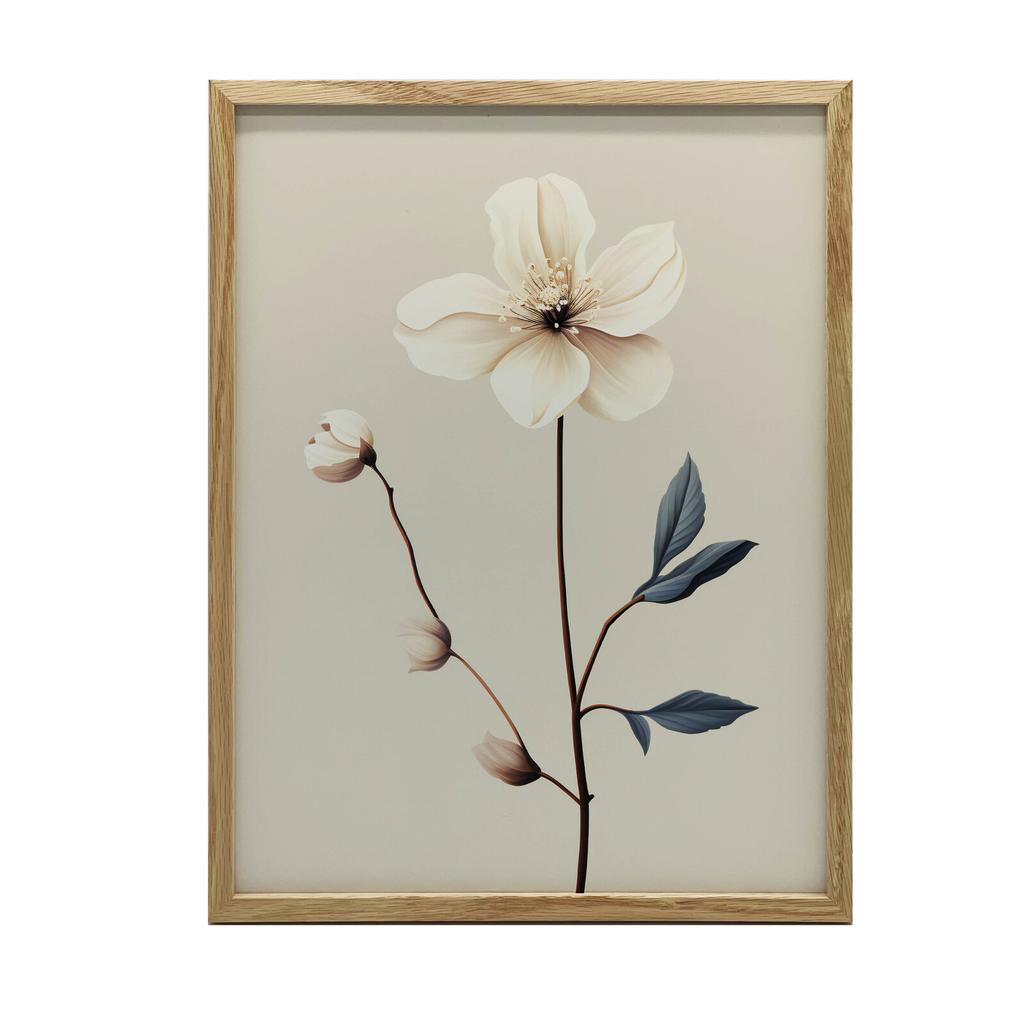 White Anemone - Minimalist Beauty White Anemone - Minimalist Beauty, 30X40 Cm, Dark Brown Wooden Frame, 230 Gsm Matte Paper