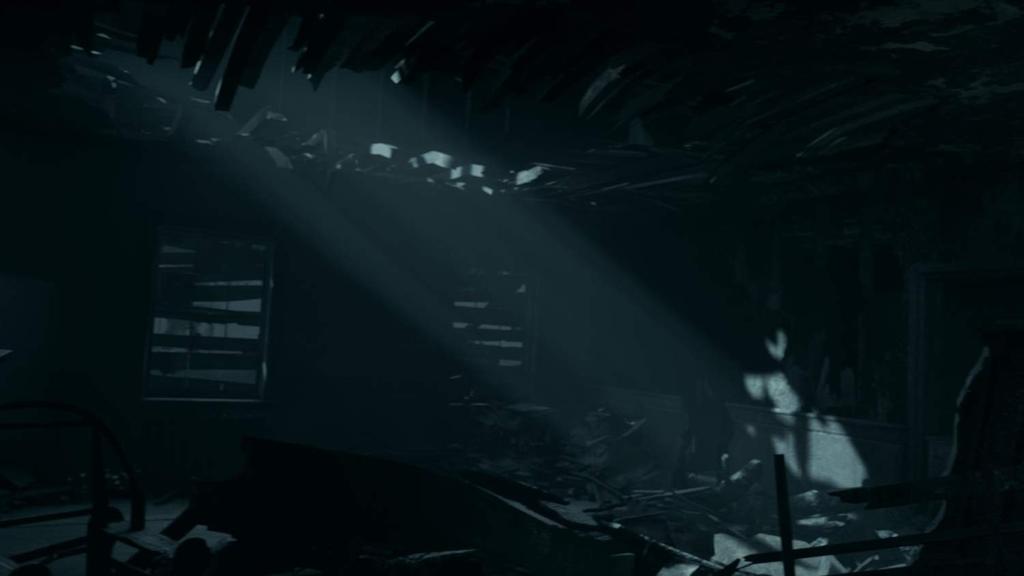 Темный Дом Пепла Север PS5 Картинки (Импортная версия Америка) -