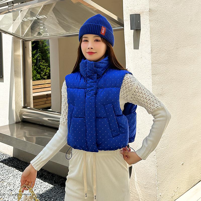 Женская осенне-зимняя однотонная утолщенная верхняя одежда с хлопковой подкладкой и воротником-стойкой, теплая куртка без рукавов, пальто, жилет