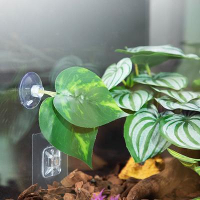 Присоска для лежака из листьев для рыбок Betta, гамак, аквариумы, нерестилища, листовые подстилки, аквариумы, принадлежности для разведения