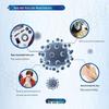 Safeguard Нежный гель для мытья рук с алоэ, двойная упаковка
