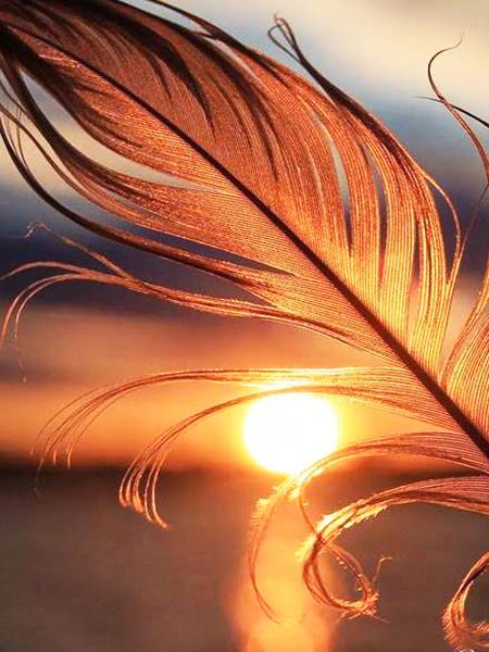 5D DIY алмазная живопись закат набор для вышивки крестом Алмазная вышивка перо мозаика пейзаж распродажа картина стразы искусство