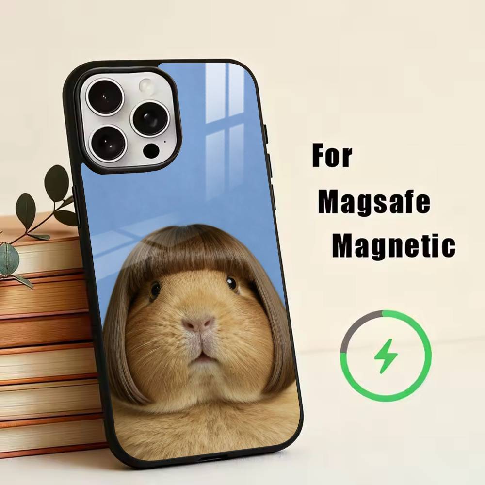 Cute-Capybara  Phone Case For iPhone17,16,15,14,13,12,11 Plus,Pro Magnetic with Magsafe Wireless Charging