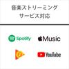 Sony Совместимость с Walkman 64 ГБ ZX Series MP3-плеер Bluetooth, совместимый с microSD, сенсорная панель в комплекте, до 20 часов непрерывного воспроизведения 360
