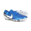 Футбольные бутсы Tiempo Legend 10 Elite Fg
