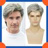 2025 European Fashion Short Straight Wig For Men HW835