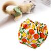 Squirrel Diapers Guinea Pig Diaper Clothes Pet Supplies Reusable Small for Groundhog