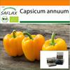 Garden In the Bag - Organic - Sweet Pepper - Golden California Wonder - 20 Seeds - With Substrate In a Fitting Stand Up Bag - Capsicum Annuum