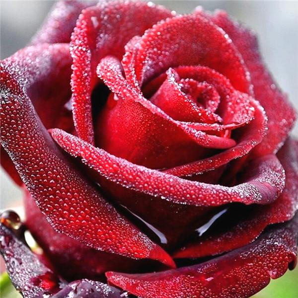 5D DIY Алмазная картина Полный круг Пейзаж Дерево Отражение Вышивка Картина Вышивка крестом