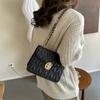 Chic And Stylish Small Square Bag For Women Trendy Fall Collection Versatile Crossbody Purse