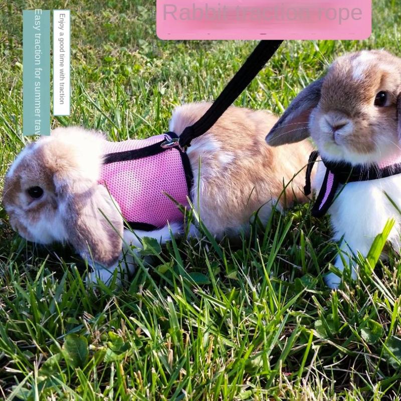 Голландский поводок для свиней, веревка для кроликов, поводок для маленьких домашних животных, специальный поводок для кроликов, тяга на груди и спине жилетного типа.