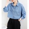 Summer and Autumn New Denim Shirt Jacket Women's Short Jacket Thin Top