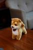 Sanei Boeki Original Plush Graceful в цвете Shiba Inu Standing Brown x D24 x Dog (Сделано в Японии) (S) Ш12,5 В21,5 см I-6857
