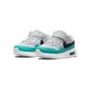 Nike Детские кроссовки Air Max SC TD Photon Dust Washed Teal Серый Белый Черный CZ5361-008