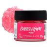 Lush Lip Scrub 20g