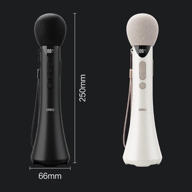 Deli LT200 12W Wireless Bluetooth Handheld Amplifier CN plug (adapter included) (CN version)