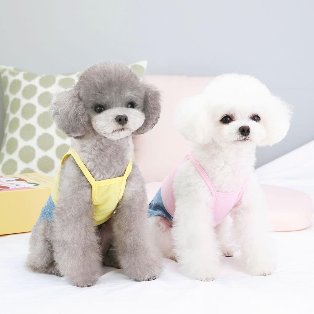 Весенне-летняя новая одежда для домашних животных, одежда для собак, весенне-летняя одежда для домашних животных, плюшевая юбка, джинсовая юбка с карманами, платье для собаки