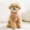 Baibong Puppy Light Bear Harness, Neon Pink