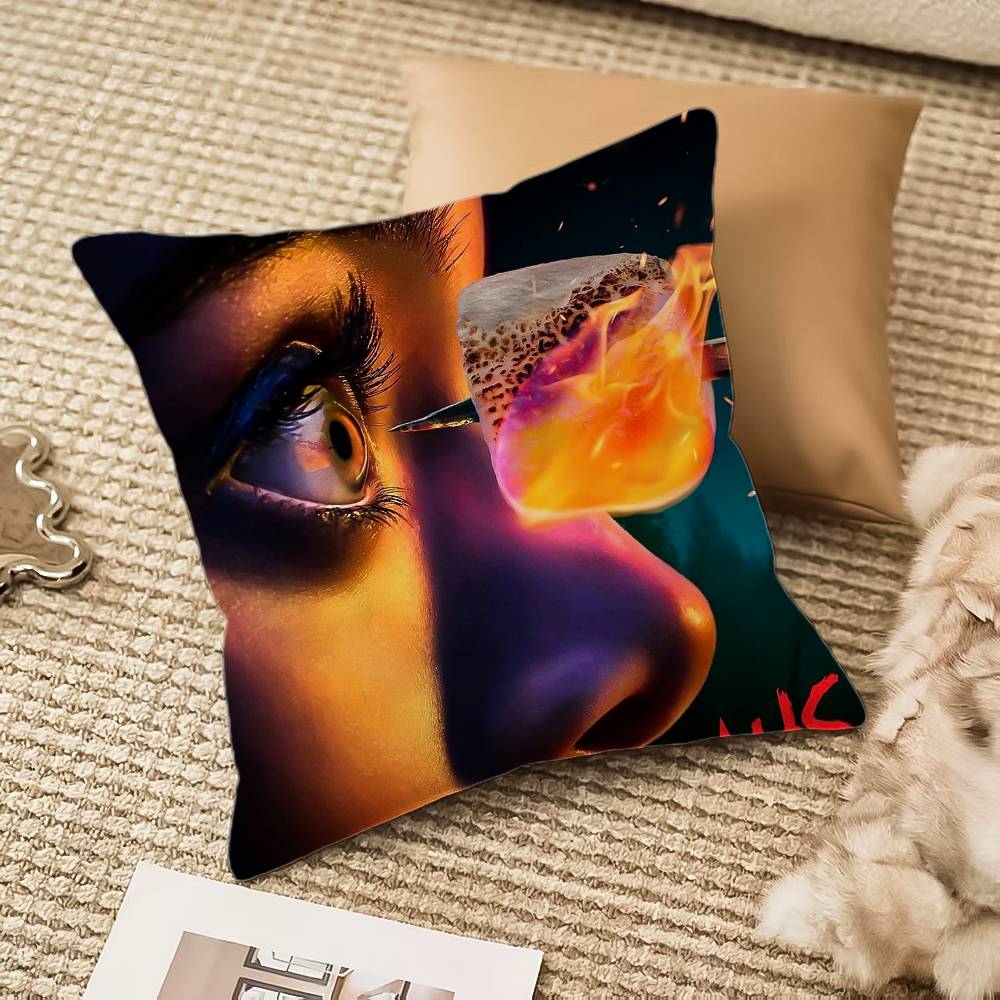 A-american TV H-horror Stories Pillow Case Anti-dustmite Invisible zipper Sofa Bed