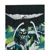 Jurassic World Boys Dinosaur Swim Shorts