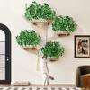 Wall-Mounted Scratching Tree in Tree Shape Made of Solid Pine Wood, with Scratching Surface & Platforms, Decorative & Stable, 155×210 cm