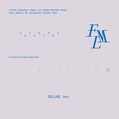 СЕМНАДЦАТЬ - мини 10-й [FML] (Делюкс вер.)