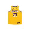 LeBron James Icon Swingman Jersey Yellow Men Streetwear AA7099-741