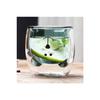 Cute Bear Walled Glass Cup Double Walled Design Glass Cup 250 Ml Gift Walled Bear Glass