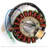 Bruce & Shark Stator Generator Coil Alternator Stator for Yamaha TW200, TW125, TW225, Trailway 200 (4WP-85510-10-00)