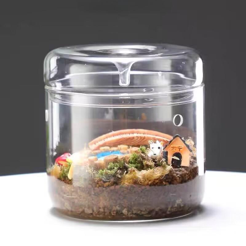 Экологическая стеклянная бутылка Микро Ландшафт Настольный Растительный Мох Банка Закрытый Кувшин Для Культивирования Офисный Декор Стеклянный Цветочный Контейнер Для Комнаты