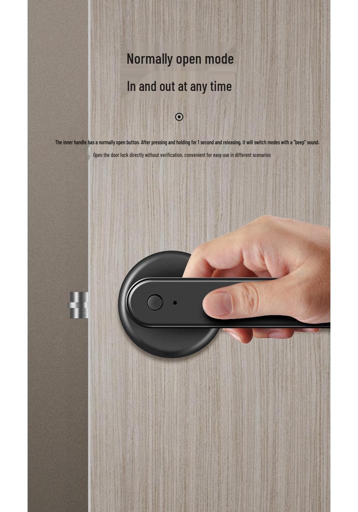 Fingerprint Lock for Indoor Bedroom/Office: Wooden Door Password & Smart Electronic Alloy Lock