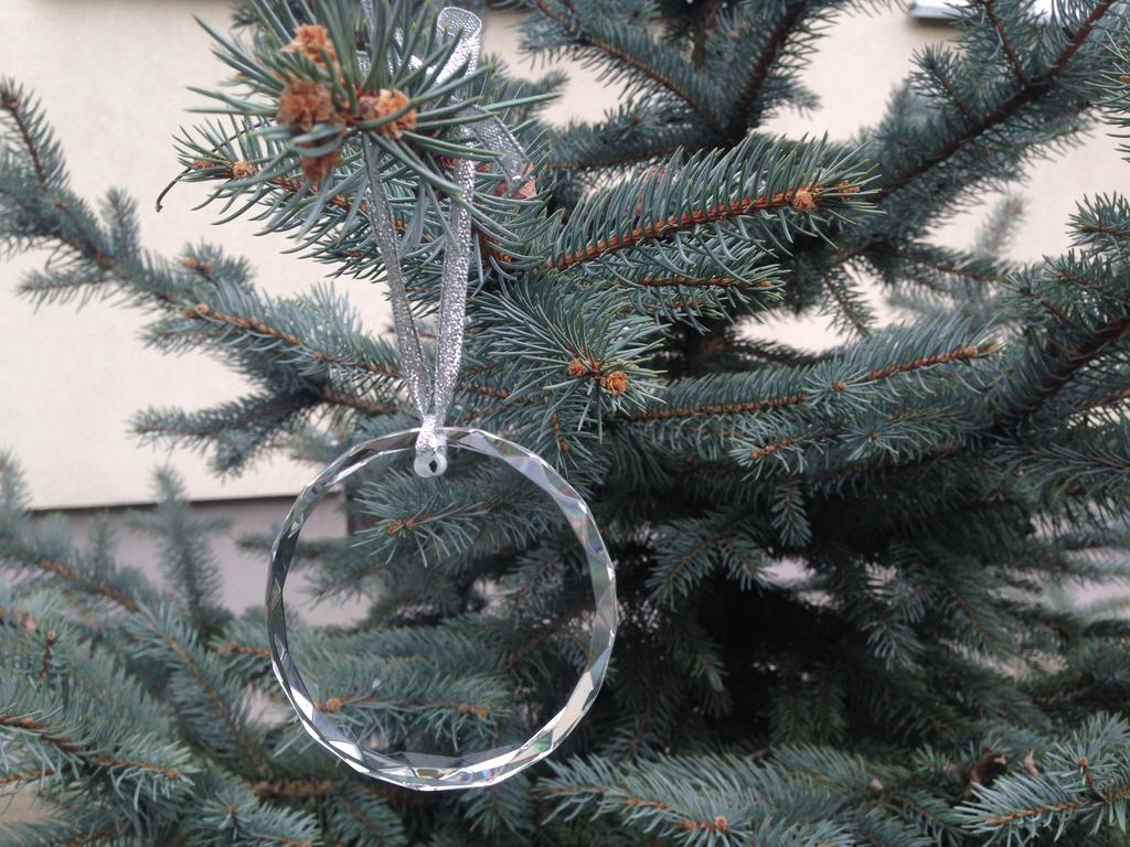 American Bobtail - crystal bauble with a photo, photo of a cat in crystal, personalized Christmas tree ornament by Art-Dog brand