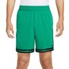 DNA DRI FIT Баскетбольные шорты мужские FN2660-365
