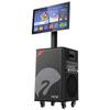Портативная KTV-колонка на тележке HiVi TS29, штекер CN (адаптер в комплекте)