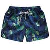 Men's Quick-Dry Beach Shorts: Summer Seaside Swim & Sports, Loose Five-Point Pants for Couples