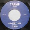 7-дюймовая пластинка FLASH - Country Side / Around This Time TR299 Tramp Records 2022 Германия Рок
