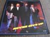 7-дюймовая пластинка BOULEVARD  Never Give Up MCA53297 MCA Records 1988 Канада Поп Б/у