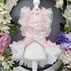 Handmade Custom Pink Pet Lolita Dress VIP Teddy Bear Pomeranian Pony Little Dog Birthday Outfit Cat Autumn Thin Design High End