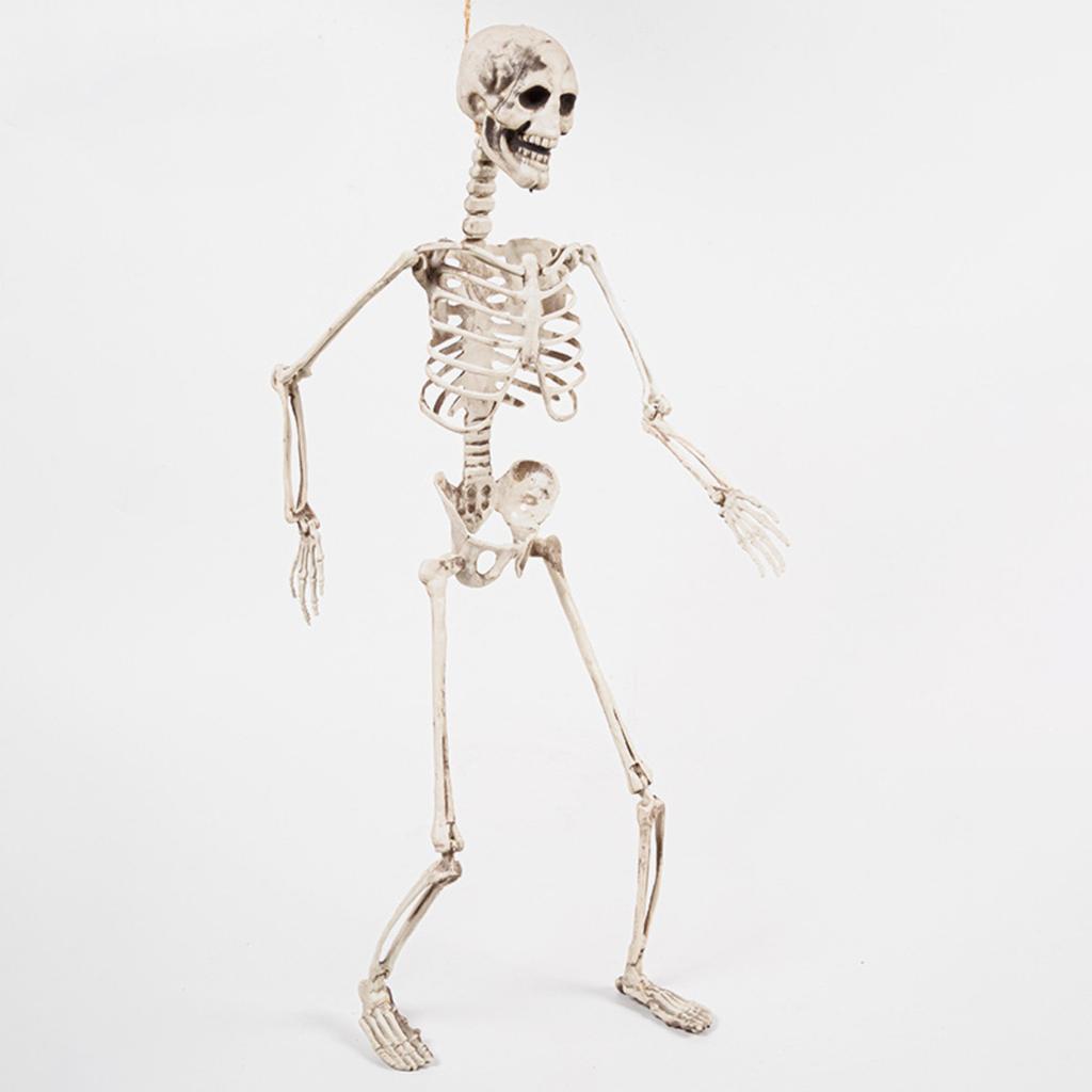 Halloween 70cm Skeleton Simulation Human Plastic Skeleton Haunted House Prop Skeleton Decoration