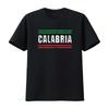 Женская футболка Calabria Flag Italia Italy Italiano Винтажная Ретро Выцветшая Черная Средний размер винтажный Стиранная Повседневная Мягкая Стильная