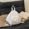 Simple Solid Color Dumpling Shaped Large Capacity Women Casual Crossbody Bag For Women