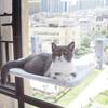 Puhang Cat Hammock Window Cat Bed с присоской Тип Cat Hammock Window Подвесной складной оконный гамак Вентиляционная сетка Простая установка Подходит для