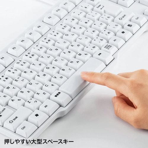 SANWA SUPPLY USB Keyboard (White) SKB-L1UN