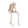 Skeleton Figurine Realistic Non-See Non-Speak Non-Hear Statues Spooky Skeleton Collectible Ornaments for Halloween Haunted House