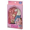 Takara Tomy Платье Базовое Женственное Игрушка для Ролевых Игр для Возраста 3 лет и старше Licca-chan LW-17 Наряжаться