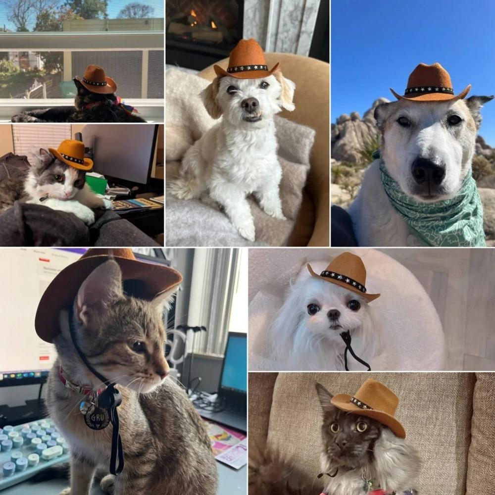 Милая ковбойская шляпа со звездами, регулируемые шапки для собак, модная британская шляпа для домашних животных, товары для животных