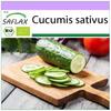 Organic - Огурец - Marketmore - 20 семян - Cucumis sativus