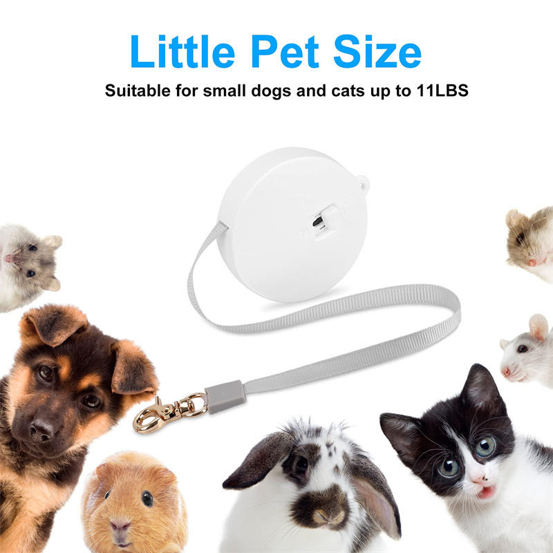 NEW Retractable Dog Leash Automatic Freely Puppy Cat Traction Rope Belt