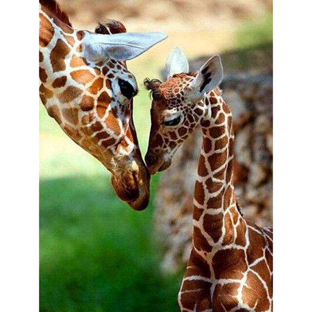 DIY Giraffe 5D Diamond Painting Cross Stitch Full Round Drill Daimond Embroidery Rhinestone